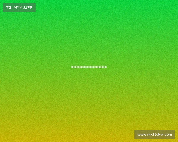 谢菲联足球俱乐部历史辉煌与未来发展潜力的深度分析